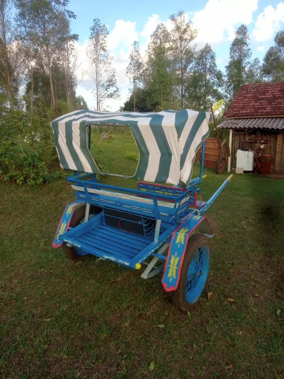 Charrete trassao animal  - Foto 4