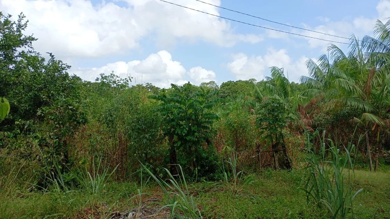 Vendo terreno em maruda - Foto 2
