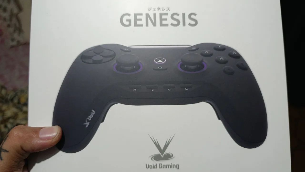 Void Genesis 