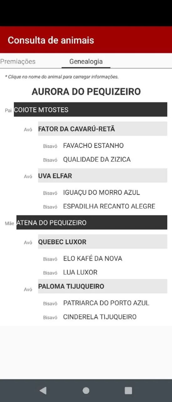 Potra mangalarga registrada  - Foto 5