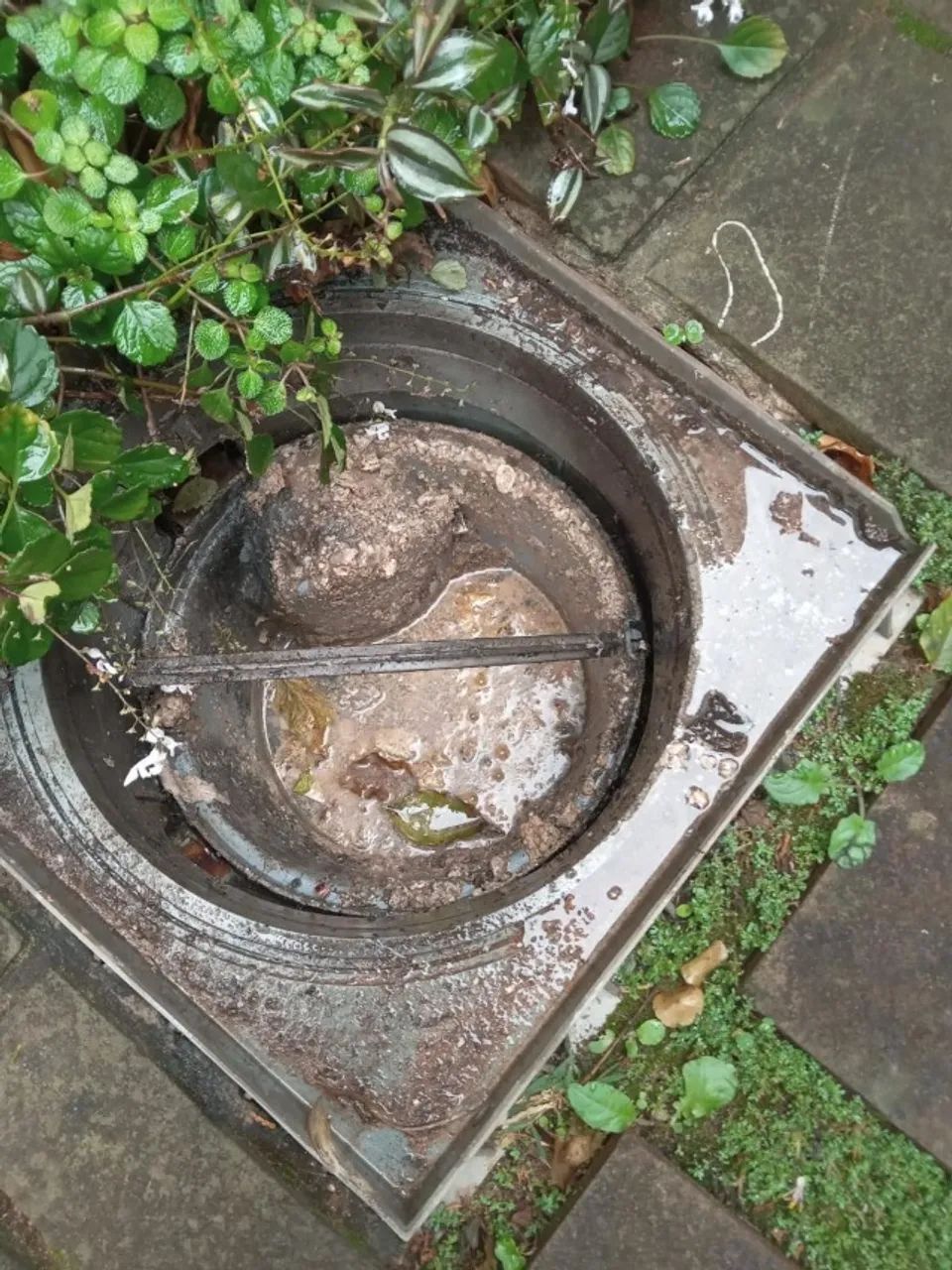 Limpeza de Caixa de Gordura - Foto 2