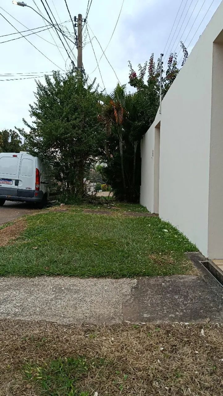 Jardinagem  - Foto 5