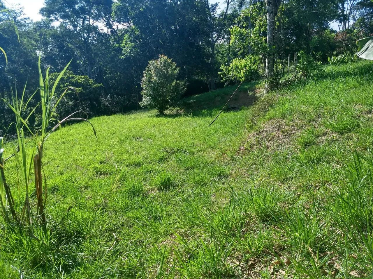 Terreno em Guararema  - Foto 3