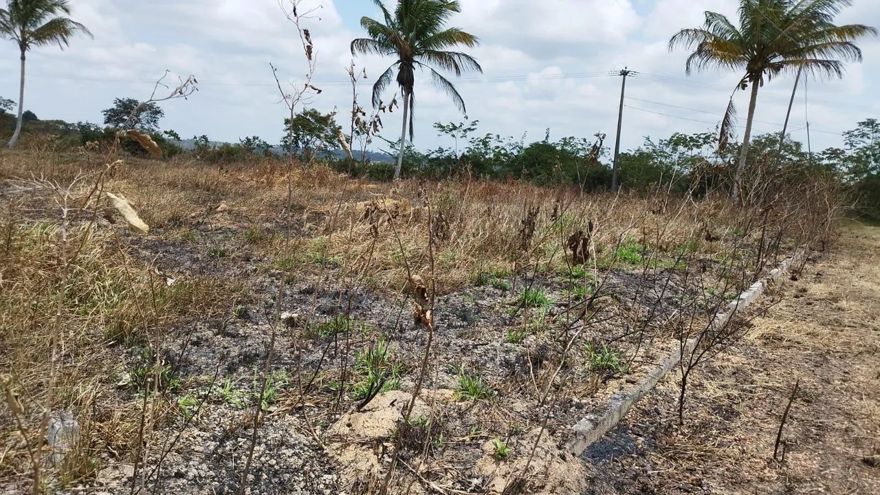 Vendo lote residencial em Salgado - Foto 2