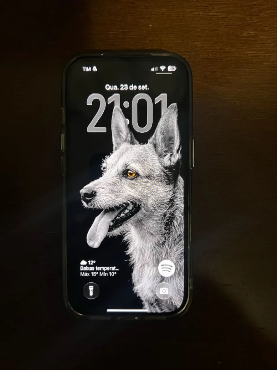 iPhone 17 PRO 256gb Azul 
