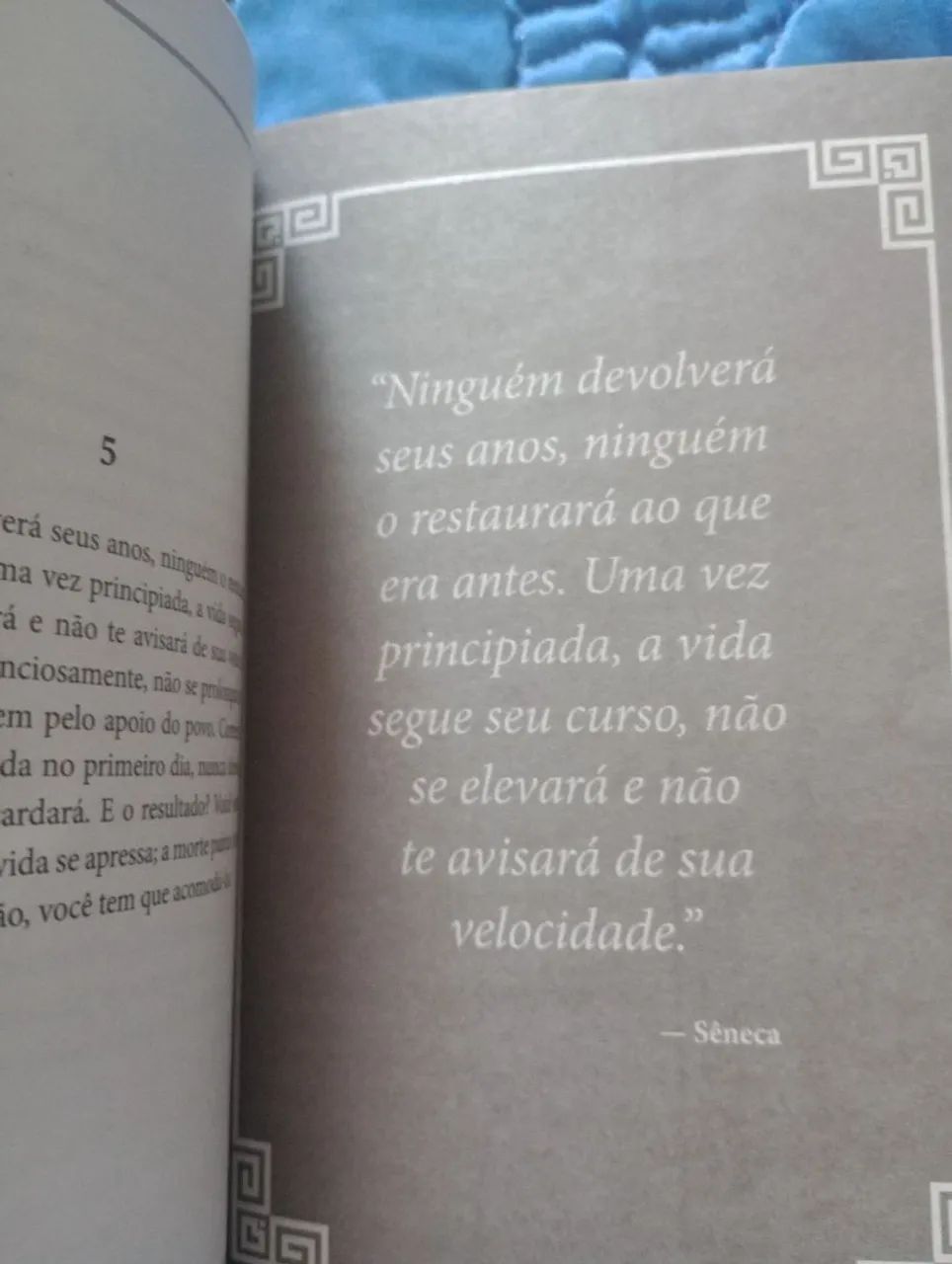 Sobre a Brevidade da Vida  - Foto 4