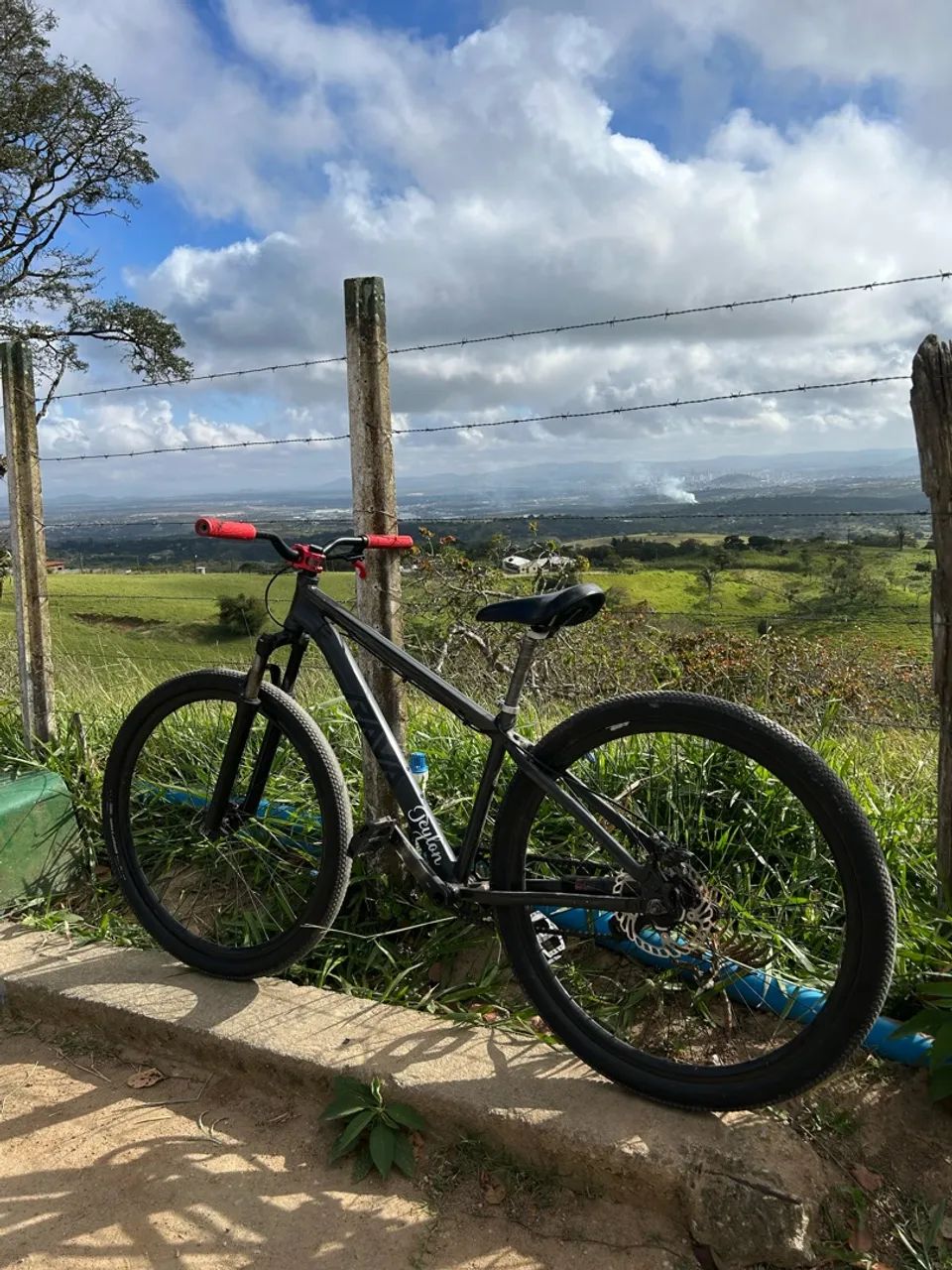 Bike rava 29