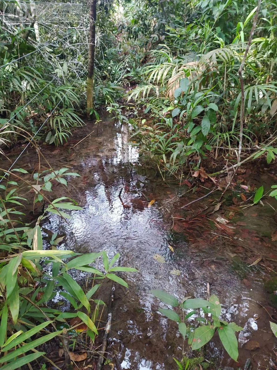 Fazenda Agropecuária com 2500 ha em Nova Lacerda - MT - Foto 3