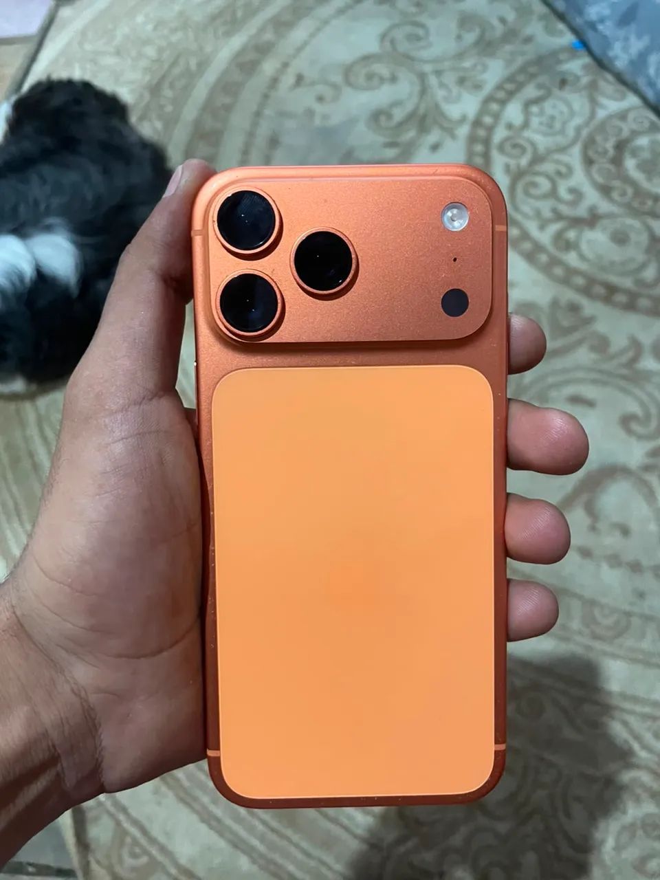 iPhone 17 pro max 256 gb