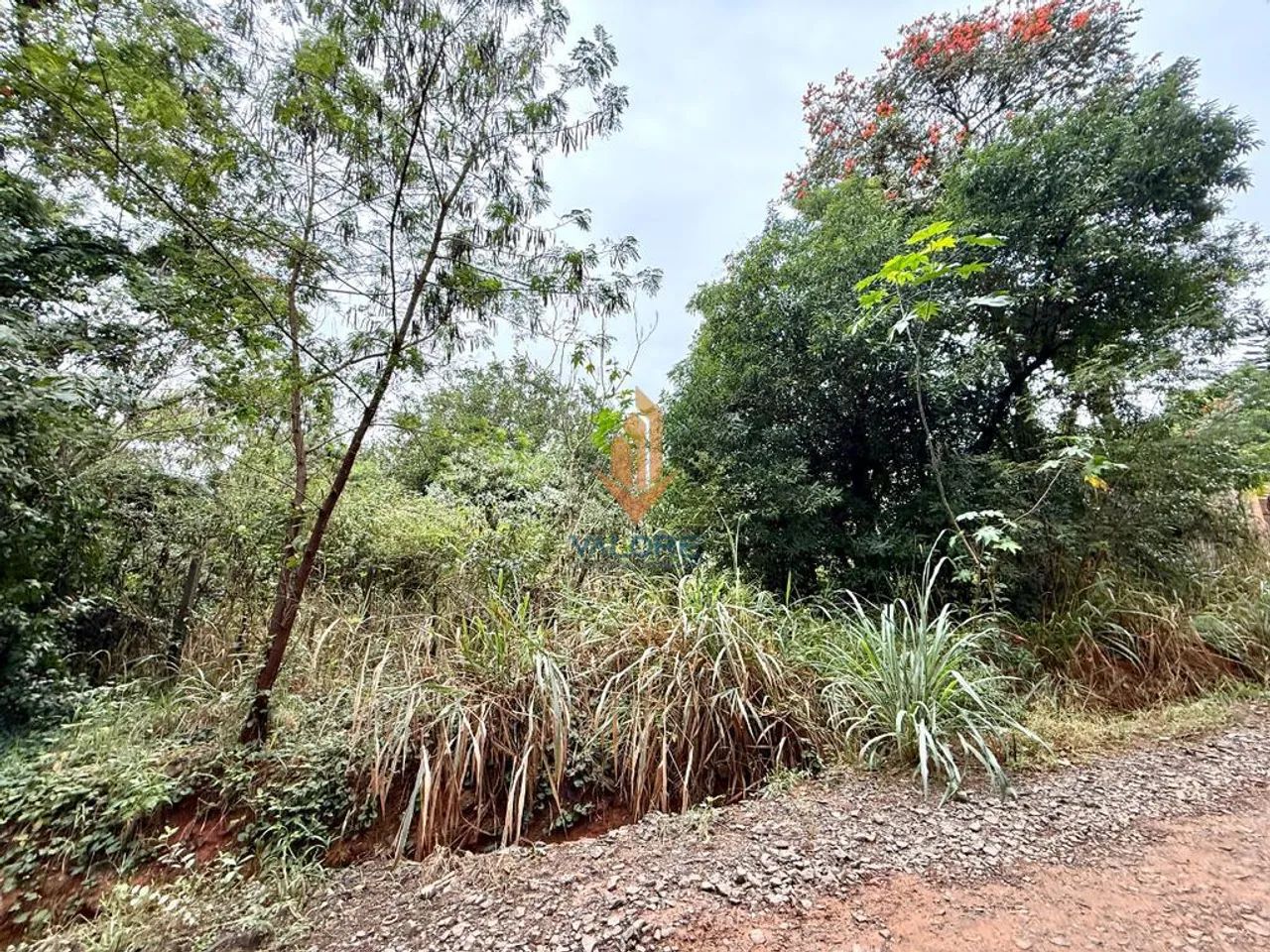 Terreno à venda em Campinas, Barão Geraldo, com 1000 m²