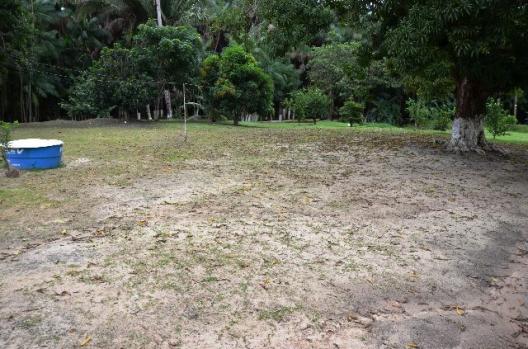 Chácara no Maracanã - Cód.: 1194 - Foto 4
