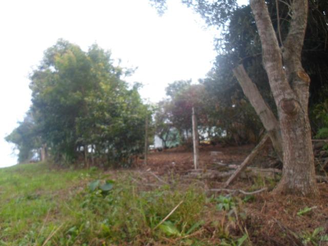 Chácara 1 alqueire e meio - Foto 10