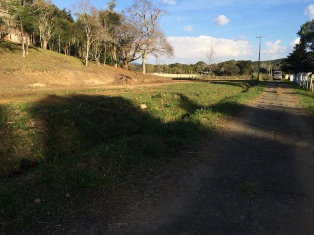 Chácara à venda em Cerne, Campina grande do sul cod:CH00004 - Foto 8