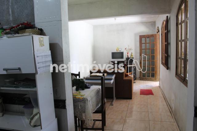 Casa à venda com 3 dormitórios em Alípio de melo, Belo horizonte cod:730888 - Foto 2