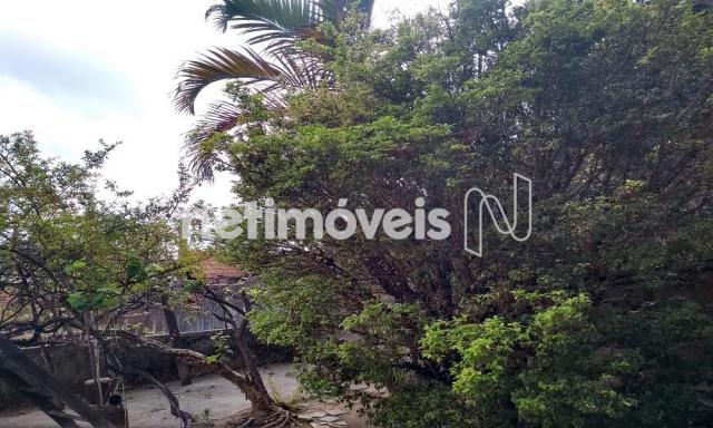 Casa à venda com 3 dormitórios em Jardim filadélfia, Belo horizonte cod:718950 - Foto 5