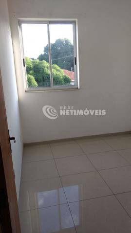 Apartamento à venda com 2 dormitórios em Glória, Belo horizonte cod:344218 - Foto 2