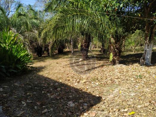 Chácara no rio coxipó com ótima estrutura - Foto 19