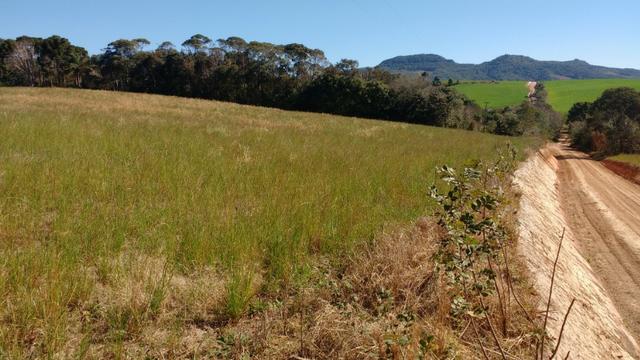 Vendo terreno para chácara ou plantação - Foto 2