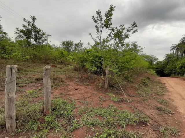 Terreno 10 hectares em Baldim - Foto 4