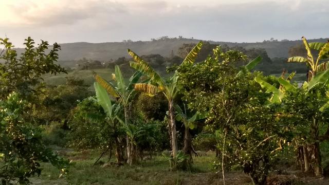 Sítio em Chã Grande PE - Foto 18