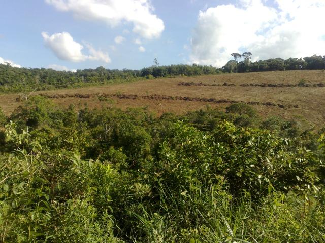 Fazenda Com Nascentes, 800 m de rio e Mata Atlântica Preserevada - Foto 16