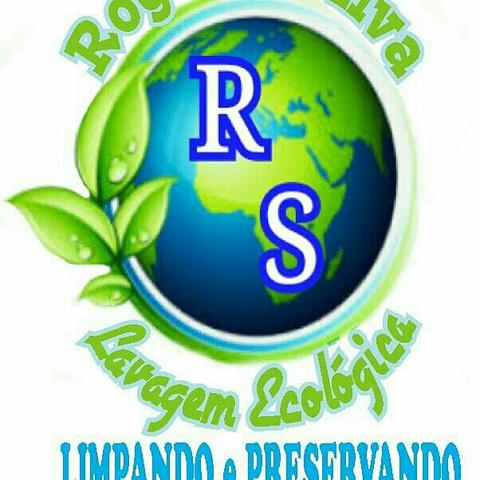 Lavagem Ecológica - Foto 6