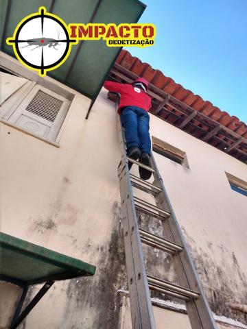 Dedetização e Limpeza de Fossa, Tel: * - Foto 3