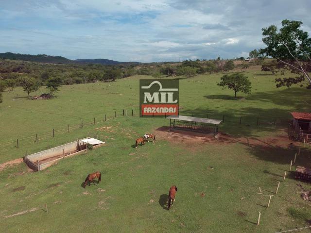 Vende ou troca por terra maior Chácara 5 Alqueires São Miguel do Passa Quatro-GO - Foto 3