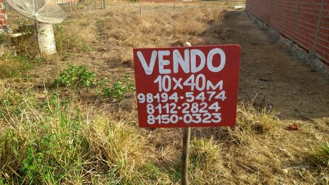 Terreno - São João da Serra PI - Foto 3