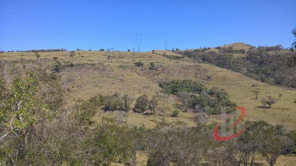 Rural fazenda com 4 quartos - Bairro Centro em Nova Tebas - Foto 14