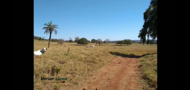 Fazenda em Morrinhos-Go - Foto 19