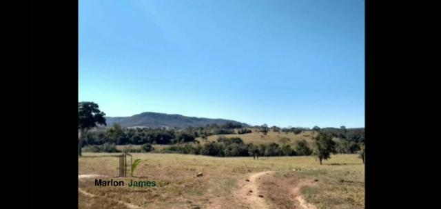 Fazenda em Morrinhos-Go - Foto 18