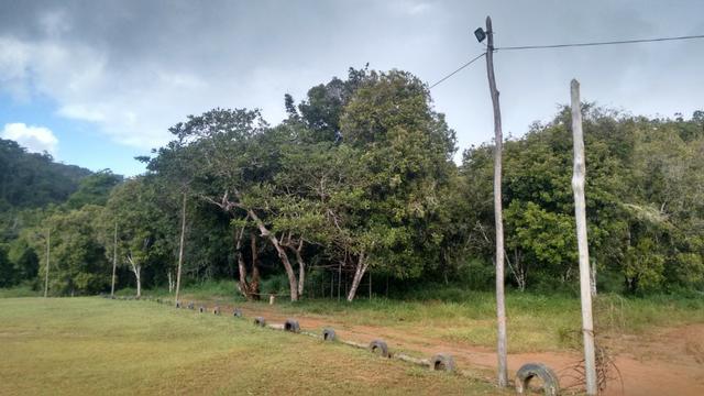 Fazenda Com Nascentes, 800 m de rio e Mata Atlântica Preserevada - Foto 9