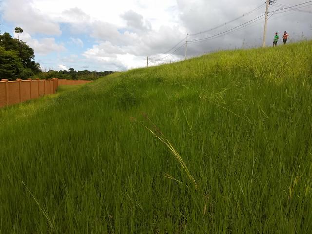 Alphaville Litoral Norte 3, declive, Quitado - Foto 6
