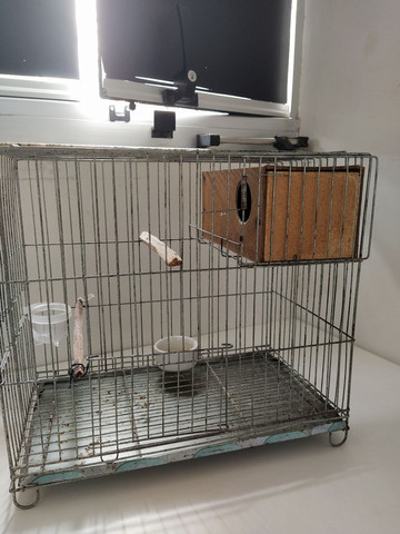 Vendo
