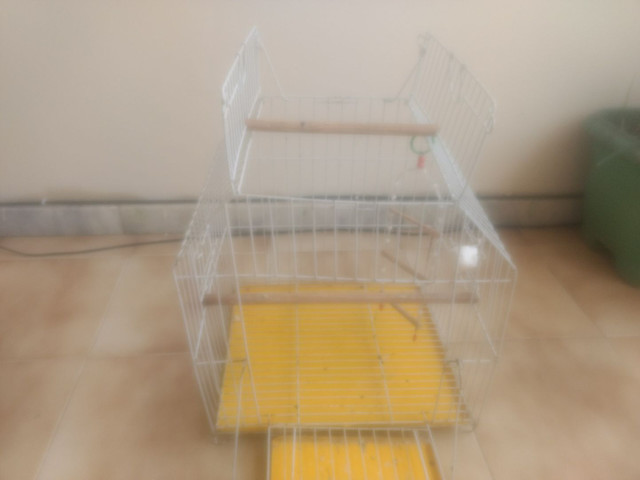 Gaiola de calopsita - Foto 4