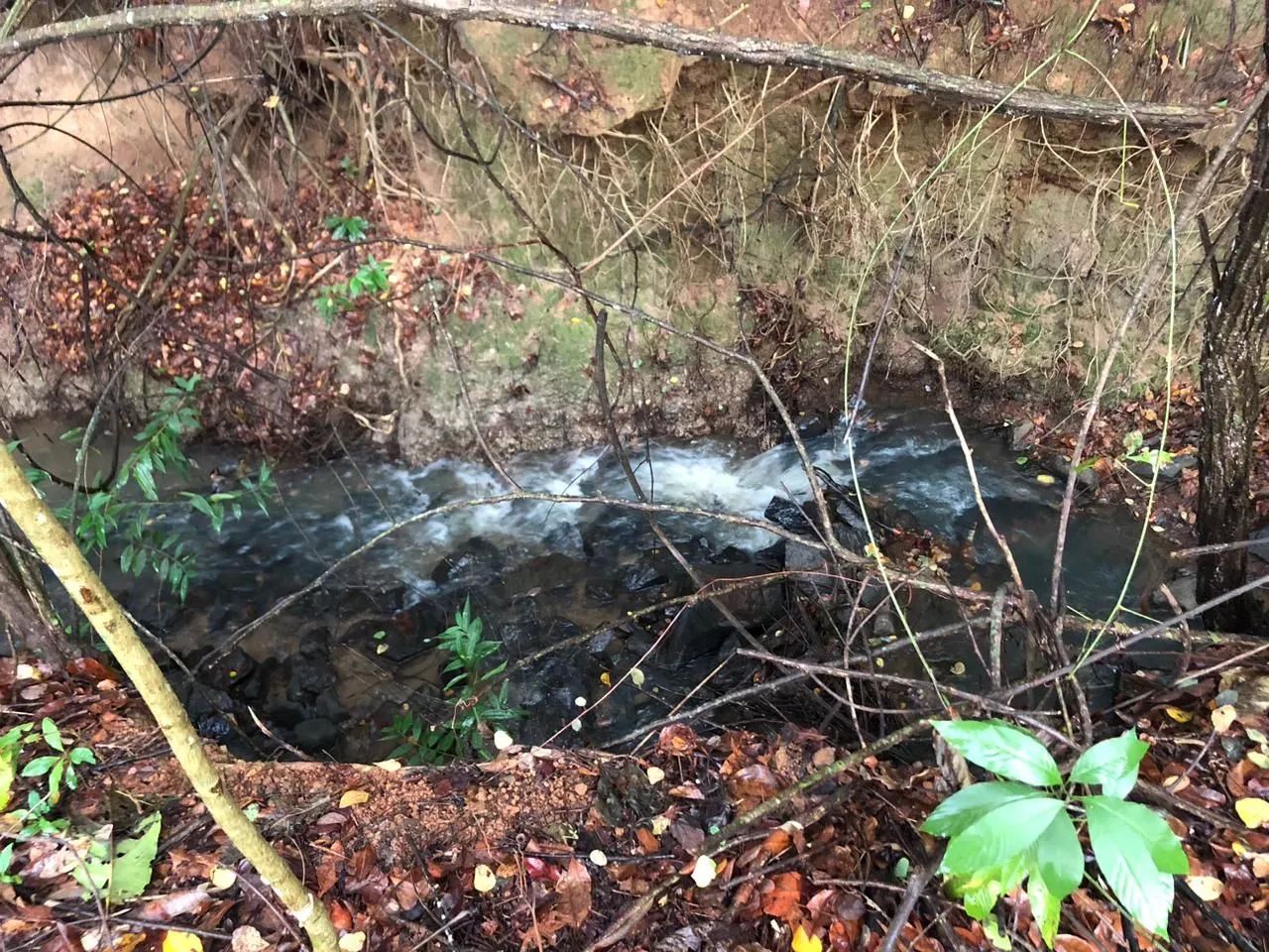 Chacara em santa barbara go - Foto 9