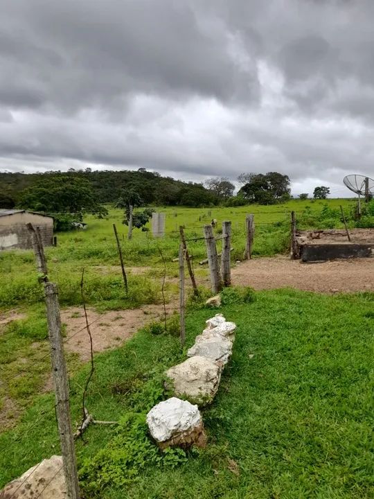 Fazenda de 135 alqueires em Alto Paraiso-GO - Foto 4