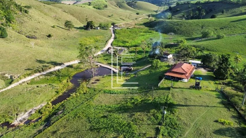 Belíssima fazenda de 153 hectares em São Luís do Quitunde-AL - Fazenda Vale Verde