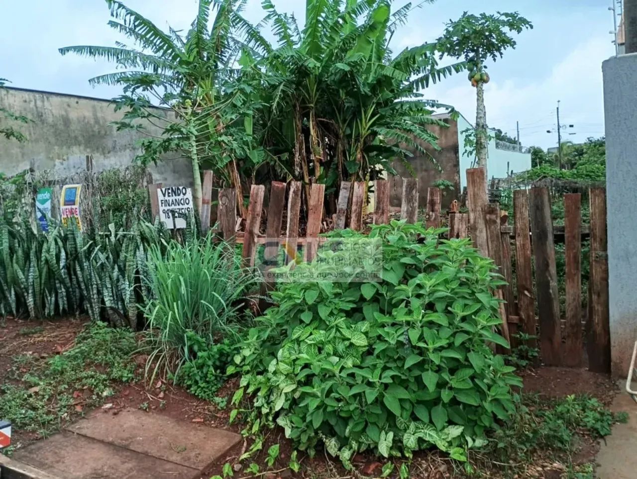 TERRENO NO ABUSSAFE - Foto 4