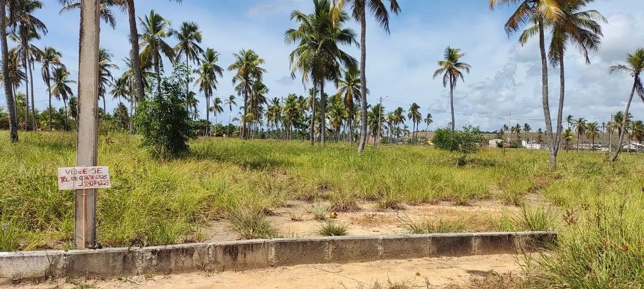 Vende-se Terreno em São José da Coroa Grande Próximo a Praia - Foto 11