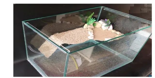 Aquário Sob medida para  Água Doce ou Marinho - Informe as medidas desejadas e o seu CEP - Foto 5