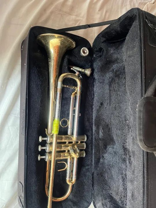 Trompete eagle 64840798157059120