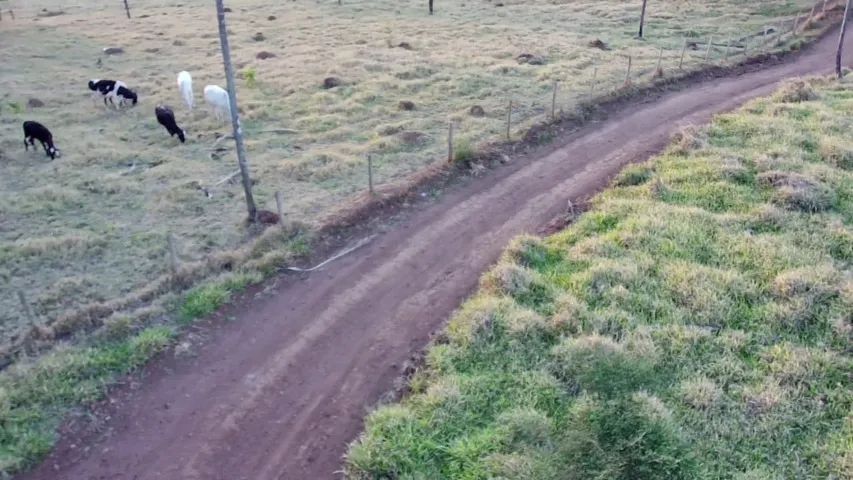 Vende-se Área rural em Bonfinópolis - Foto 3