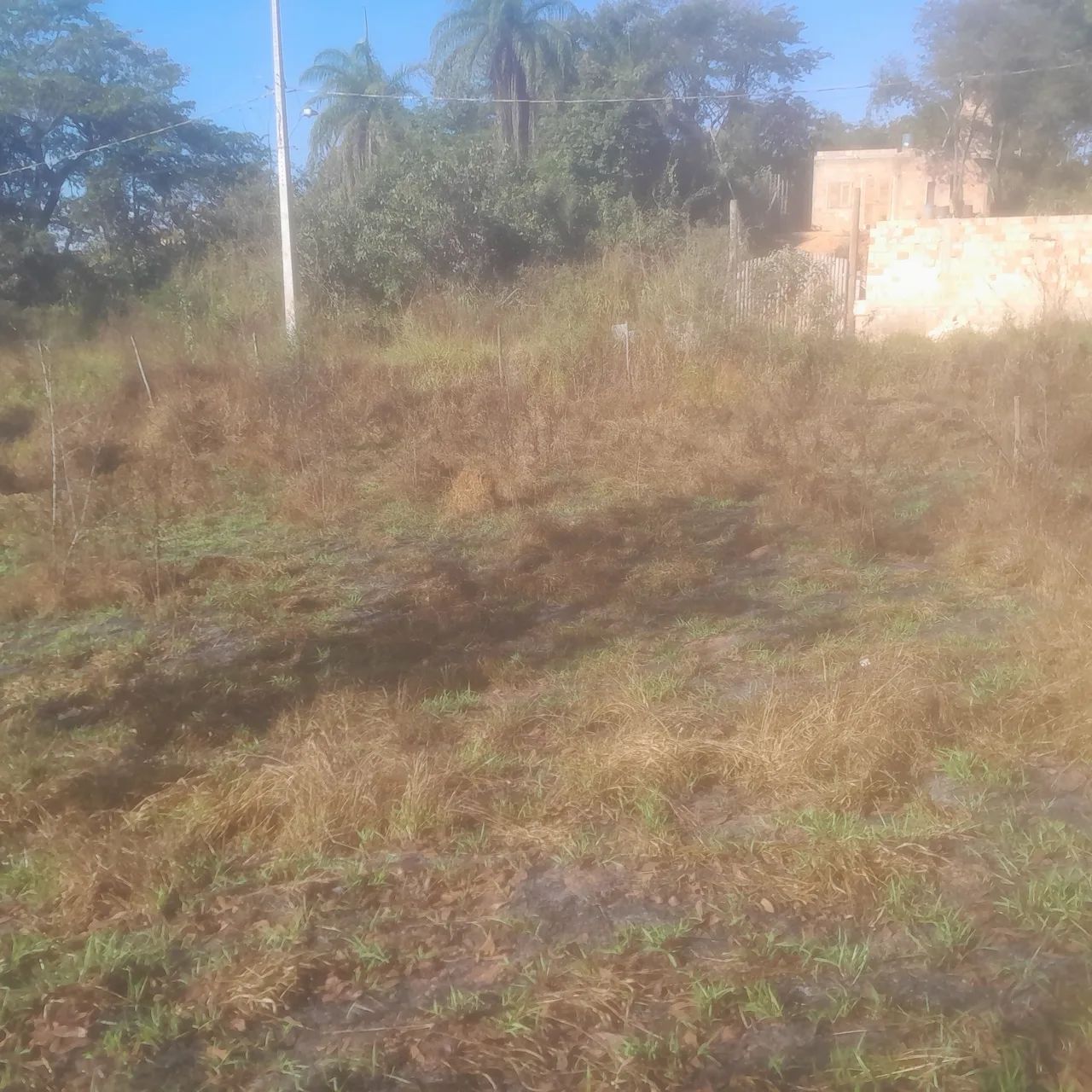 Lotes com escritura e registro  - Foto 2