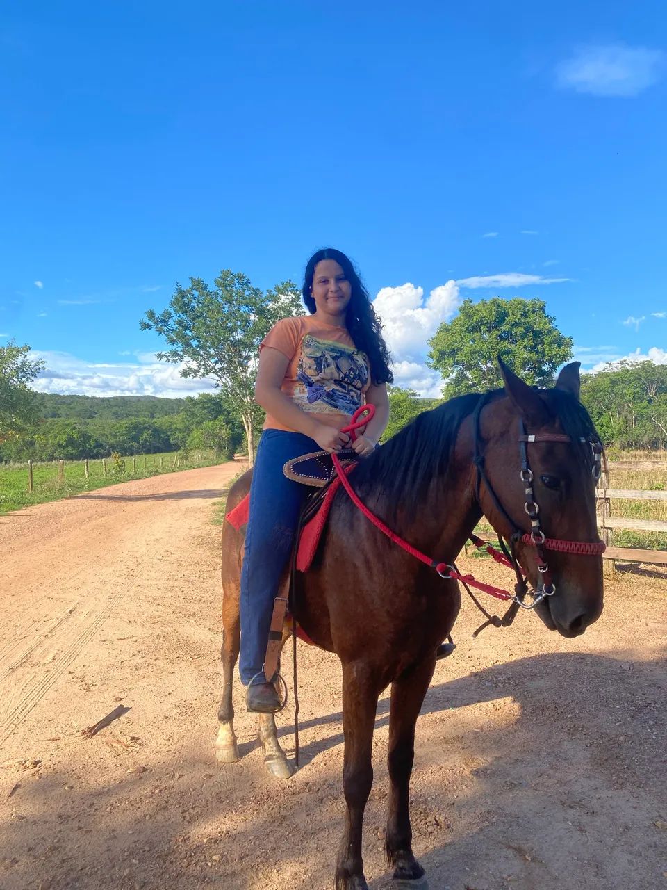 Cavalo bonito é bom de calvagada  - Foto 3