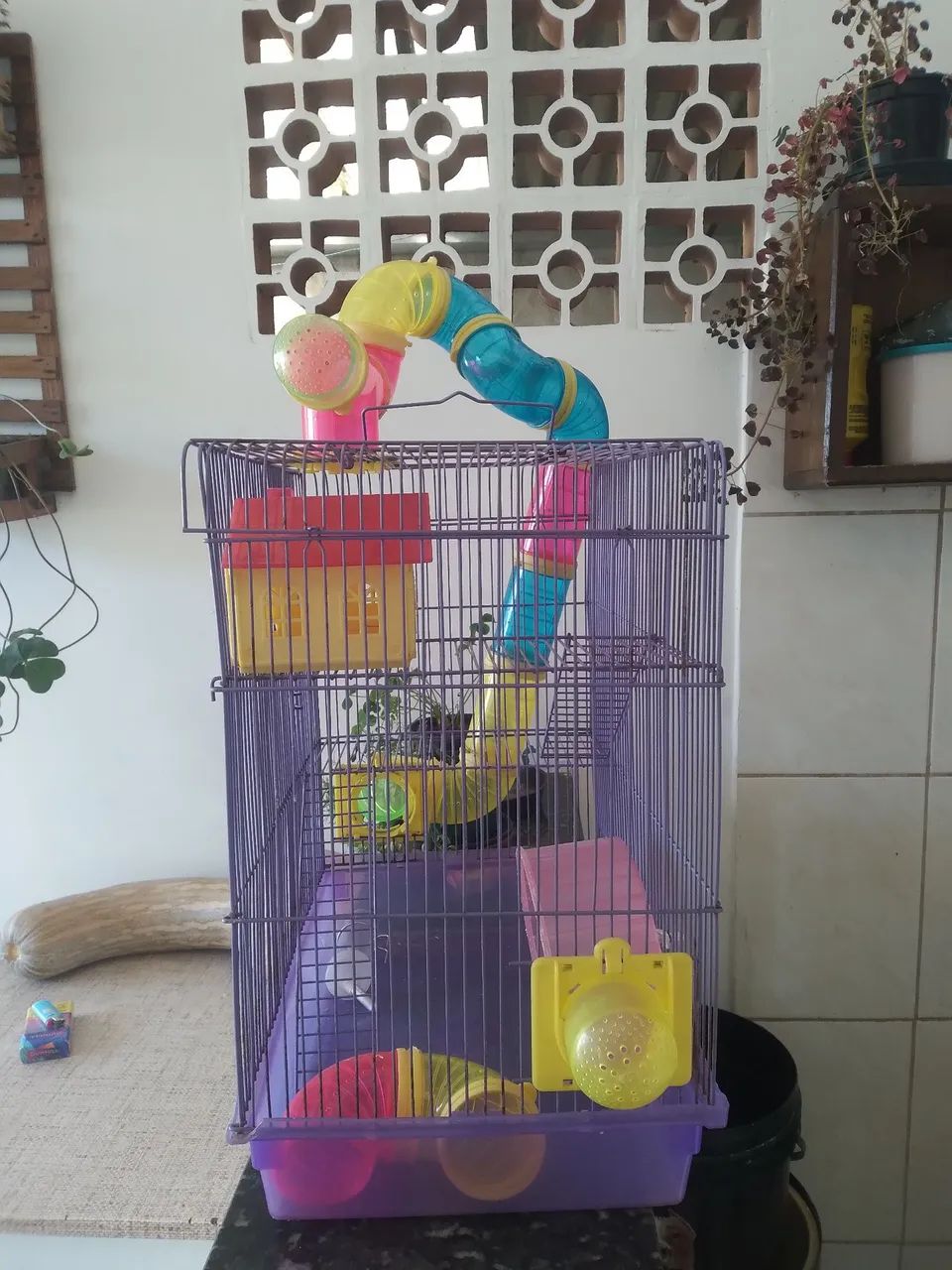 Gaiola para Hamster com Acessórios - Foto 2