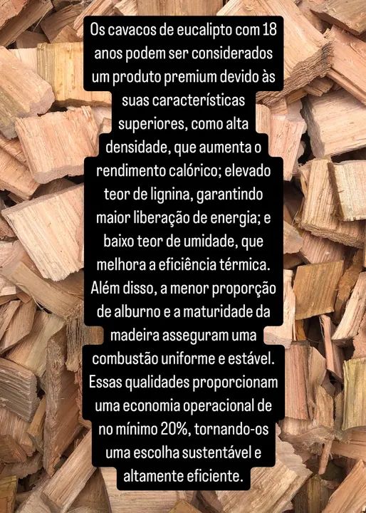 Cavaco de Eucalipto Premium - Foto 2