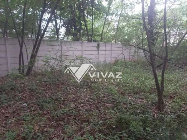 Excelente Terreno em Cascadura com 3.384m² - Foto 4
