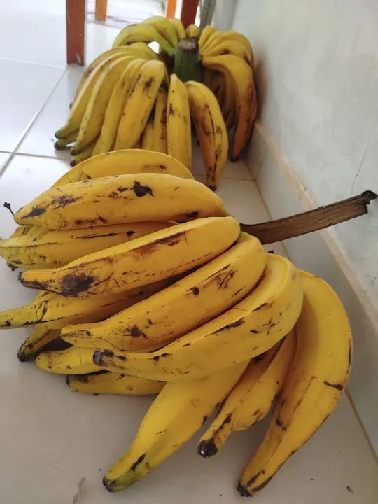 Mudas de banana da terra maranhao - Foto 5
